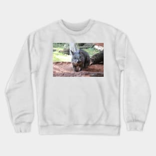 Southern Hairy-Nosed Wombat Crewneck Sweatshirt